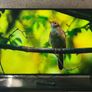 Sony 55 4K Android Smart TVKD-55XH8096  Excellent Condition Image 5