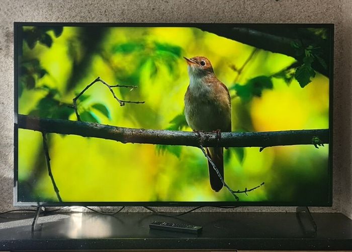 Sony 55" 4K Android Smart TV KD-55XH8096  Excellent Condition