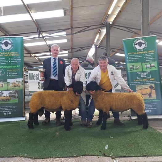 Ballina October Ram Sale