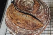 Sourdough starter Organic