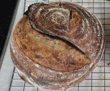 Sourdough starter Organic