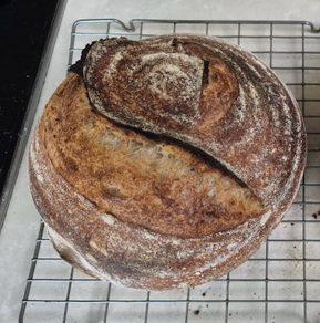 Sourdough starter Organic