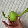 2002 Mike Wazowski approx. 13 cm. McDonald's Disney Monsters Inc CAN'T STAND Used Please see photos Image 9