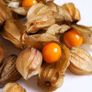seeds Image 6
