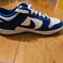 Kids Nike Dunks size 3.5 Image 6