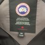 Canada goose Image 3