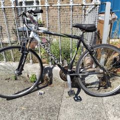 Adult Bike