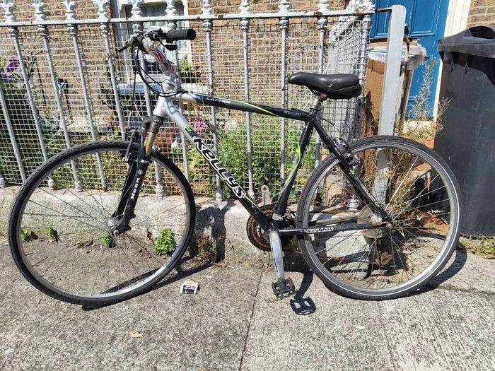 Adult Bike