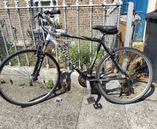 Adult Bike