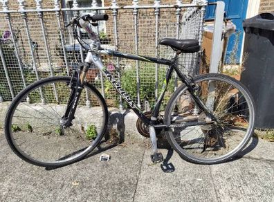 Adult Bike