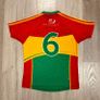 Carlow GAA Match-Worn GPS Jersey 2018-2019 Image 3