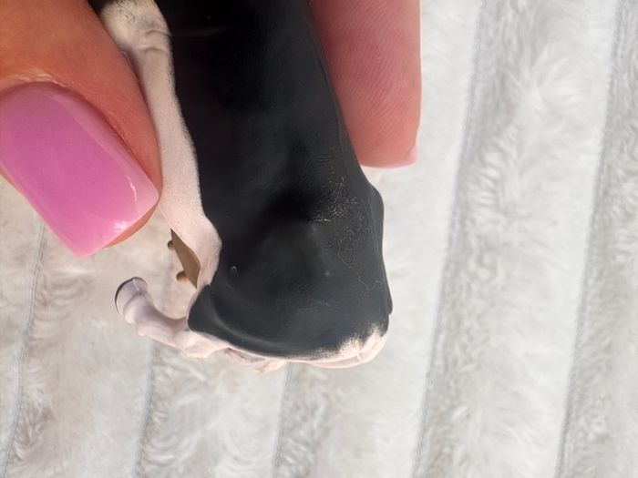 Britains Farm Series 1984 Holstein Cow Approx. 4 cm. Used Please see photos