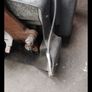 Ford Focus 5 speed gearbox Image 6