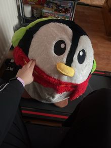 Free penguin teddy yoga ball