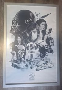 Framed Posters