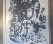 Framed Posters
