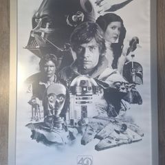 Framed Posters