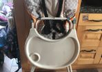 Hauck high chair