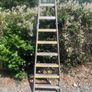 painters ladder Image 2