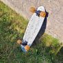 Skateboard Image 3