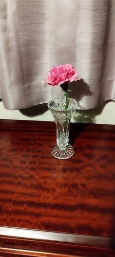 vases