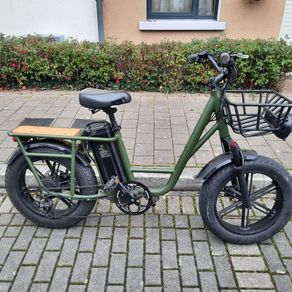 Electric Bike