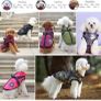 Small Dog Jacket with Harness, Outdoor Dog Sport Vest, Outdoor Warm Pet Winter Coat Harness for Cats Puppy Small Dogs, (Camo) Image 6