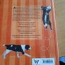 Book: Tricks and games to teach your dog Image 2