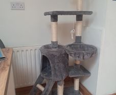 Cat tree