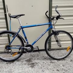 Diamond Back with Shimano STX