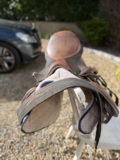 Horse Saddle