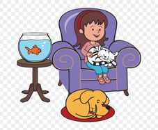 Pet sitting services
