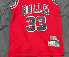 bulls jersey