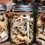 Oddities Bone Jars Curiosity Osteology Display Image 3