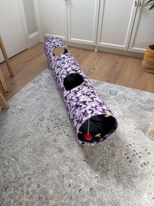 cat tunnel