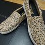 Sketchers Brand New Image 3