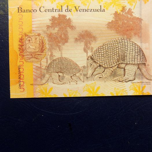 Venezuela 2007.5 Cinco.Uncirculated Banknote.
