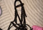 Two bridles (one leather with bit and one material) with le mieux head collar