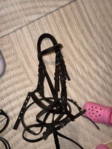 Two bridles (one leather with bit and one material) with le mieux head collar