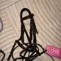 Two bridles (one leather with bit and one material) with le mieux head collar
