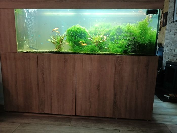fish tank 750 l