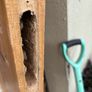 Solid Wood Door Image 6