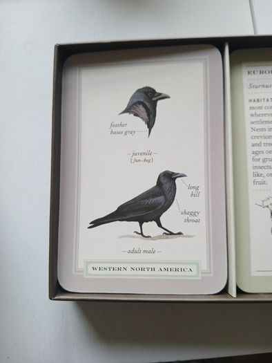 Ornithology