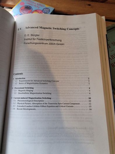 Magnetism goes Nano: Electron Correlations, Spin Transport, Molecular Magnetism... (gebundene Ausgabe