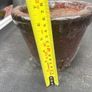 pot Image 3