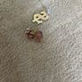 Dollar sign earrings Image 3