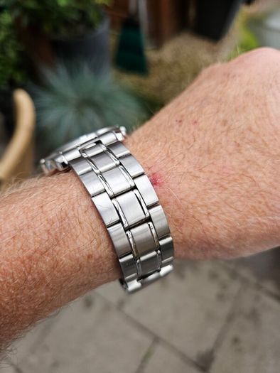 Watch Seiko Panda Chronograph