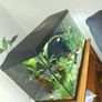 Aquel tank 120L Image 2