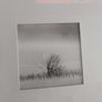 set of 4 prints ( no frames) Image 5
