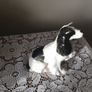 Lomonosov English Spaniel figurine Image 2